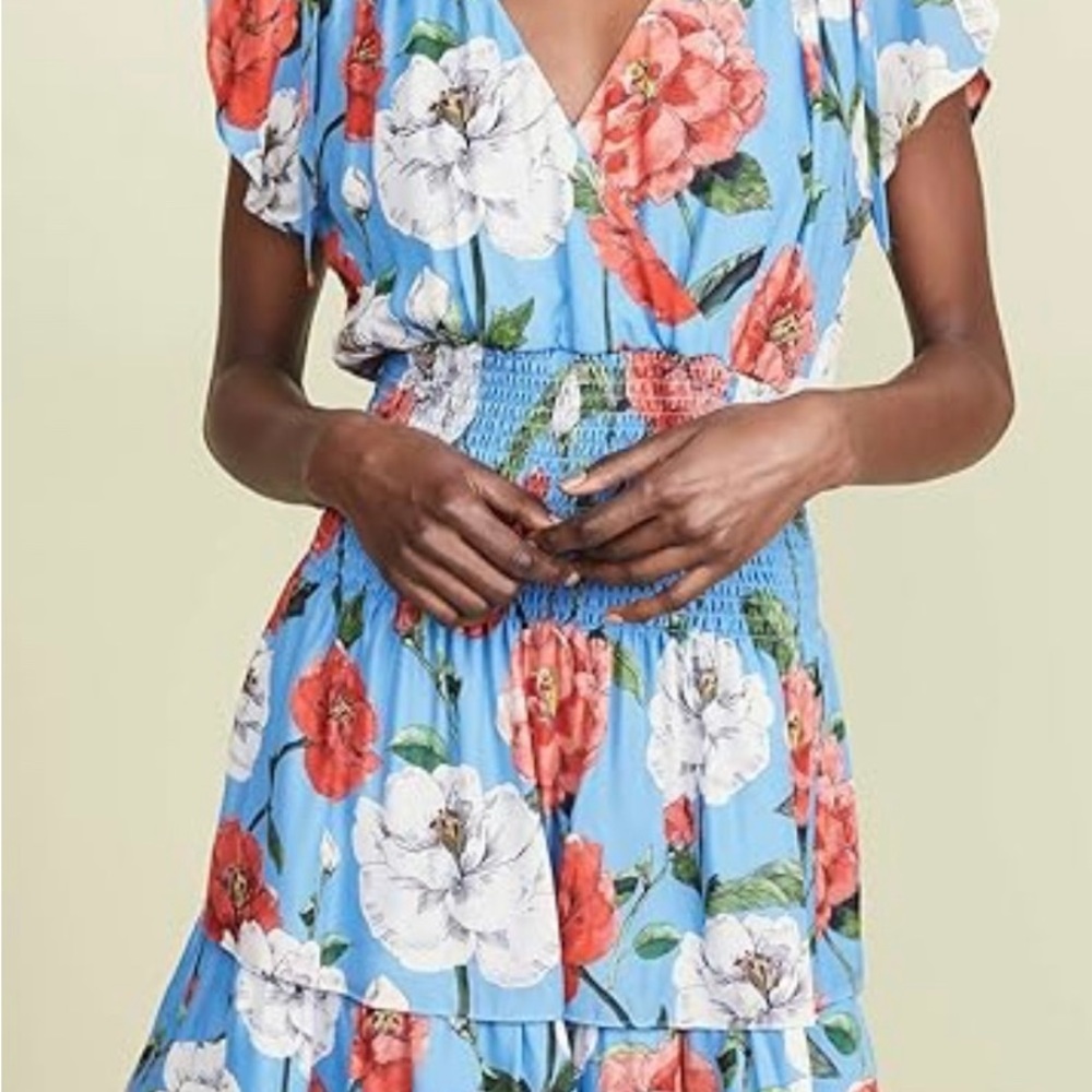 Parker Bondi Flutter Sleeve Smocked Waist Dress